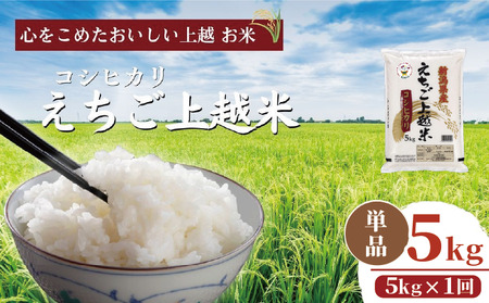 コシヒカリ5㎏ 新潟県 上越産 米 コシヒカリ 令和7年産
