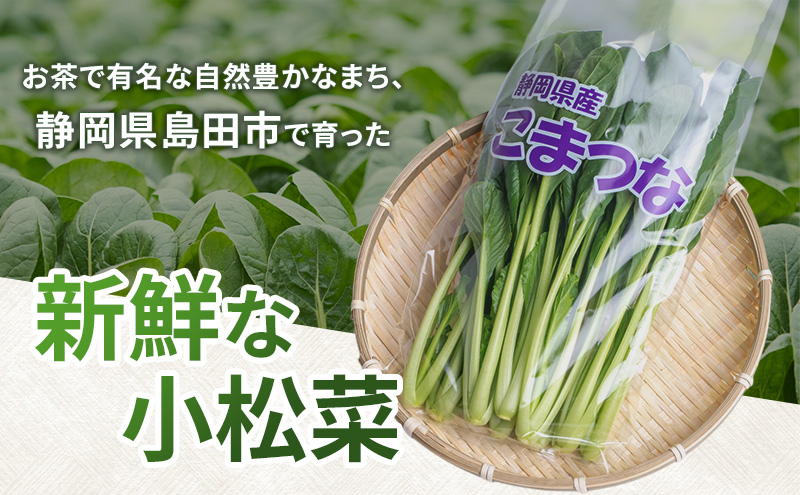 静岡県島田市産 小松菜200g×15袋　野菜 やさい こまつな 旬 国産 産地直送 詰合せ 静岡県 島田市