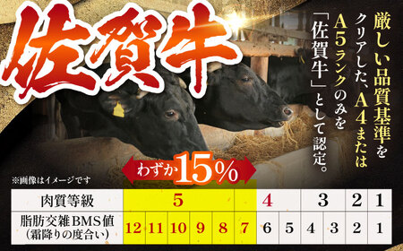 【最高級 A5ランク】 佐賀牛 焼肉セット 計600g（ロース・赤身）【肉の三栄】 霜降り サーロイン リブロース 赤身 BBQ[HAA154]