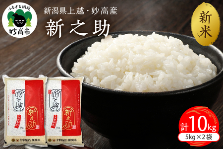 【2025年12月中旬発送】新潟県上越妙高産新之助10kg※沖縄県・離島配送不可