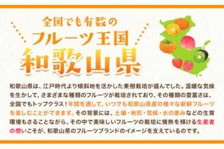 内容量：約5kg（3L～L）