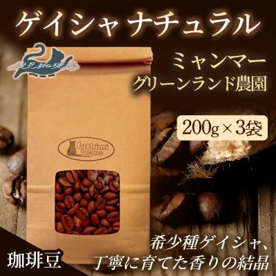 ふるさと納税 福島市 珈琲豆 ゲイシャナチュラル　ミャンマーグリーンランド農園200g×3袋No.3273