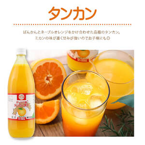 オレンジ園の濃縮ジュース タンカン 1L 3本 希釈用 みかんジュース チューハイ用 ドリンク ジュース 柑橘類 蜜柑 みかん【R01124】