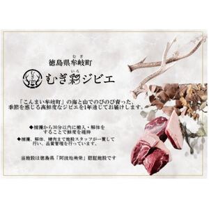 むぎ彩ジビエ　猪肉スライスBBQ用　600g　小分け　ジビエ　徳島県牟岐町【配送不可地域：離島】【1706497】