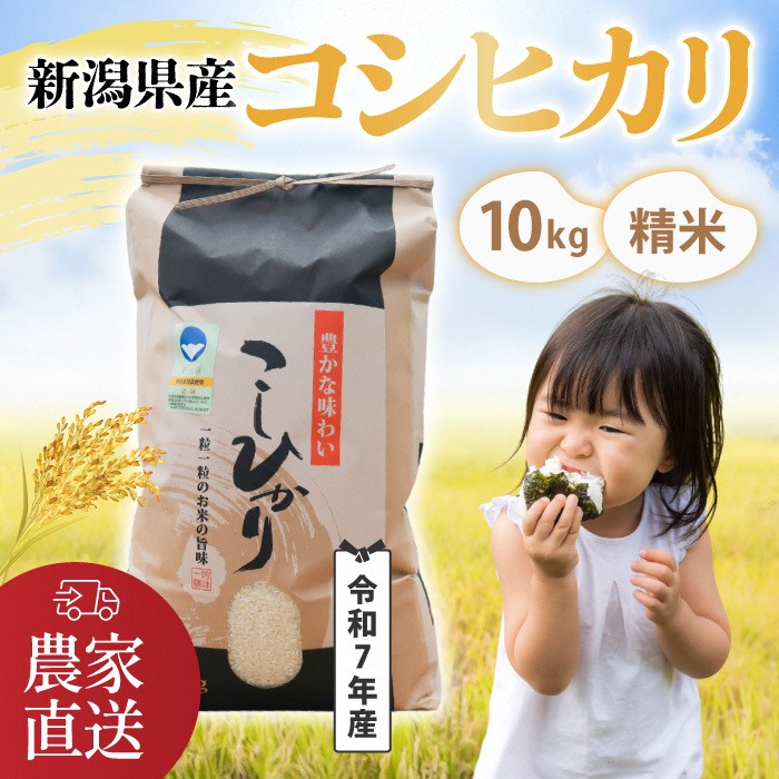 
                  【令和7年産・コシヒカリ】南波農園の特別なお米 精米10kg／新潟県燕市産 FC024007
                