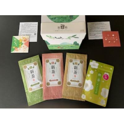 ふるさと納税 島田市 取れたて2025　静岡県産 初摘 深蒸し新茶(100g×3本)・初物深蒸しティーバッグ15個セット