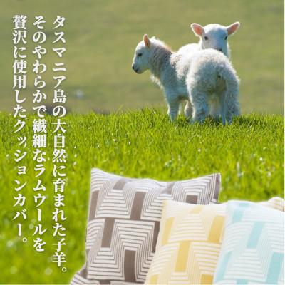 ふるさと納税 和泉市 【2枚組】洗えるタスマニアラムウール混クッションカバー 45×45cm GR OTW-4545-2P |  | 03