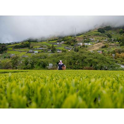 ふるさと納税 掛川市 UCC「深蒸し静岡煎茶」ドリップポッドカプセル 2箱(24杯分) |  | 03