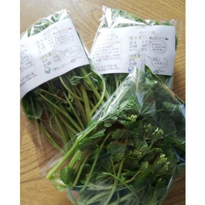 ふるさと納税 相馬市 相馬わさびセット小(花 85g入×2パック・根茎 約35g×2本) |  | 01