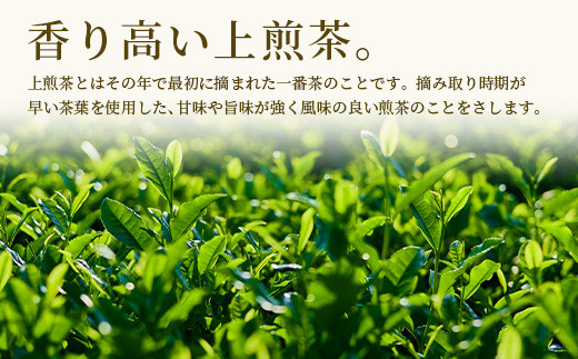 早い茶葉を使用した香り高い上煎茶