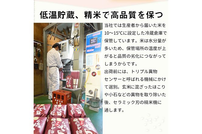 【定期便】令和6年産 新米 訳あり 京都丹波米 きぬひかり5kg×12回 計60kg◇5kg 12ヶ月 白米 12回定期便 ※精米したてをお届け 米・食味鑑定士厳選 キヌヒカリ 京都丹波産 ※北海道・沖縄・離島への配送不可 ※2024年10月上旬以降順次発送予定