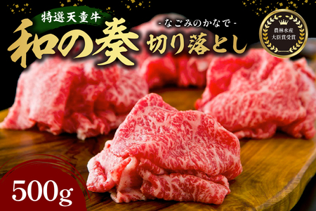 農林水産大臣賞受賞 特選 天童牛 " 和の奏 " 切り落とし 500g 山形牛 和牛 牛肉 08-27-003