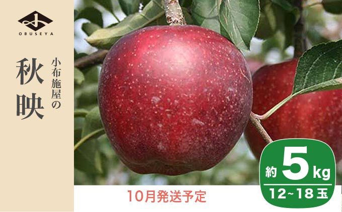 
             秋映 約5kg 12～18玉 ［小布施屋］  りんご 林檎 リンゴ 果物 フルーツ 令和7年産【2025年10月発送】［A-206］

          