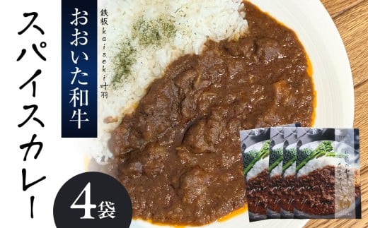 おおいた和牛 スパイスカレー 4袋 レトルト レンジ レンチン 湯煎 食事 おおいた和牛 国産 スパイシー 牛肉 牛すじ肉 牛スープ プレゼント 贈答 荒木美樹 K03039