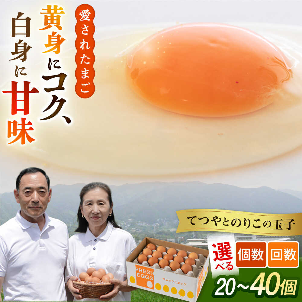 【ふるさと納税】【選べる内容量・回数】黄身にコク！白身に甘み！てつやとのりこの玉子 20個/30個/40個 板垣ファーム [AWD006] 卵 たまご 常温