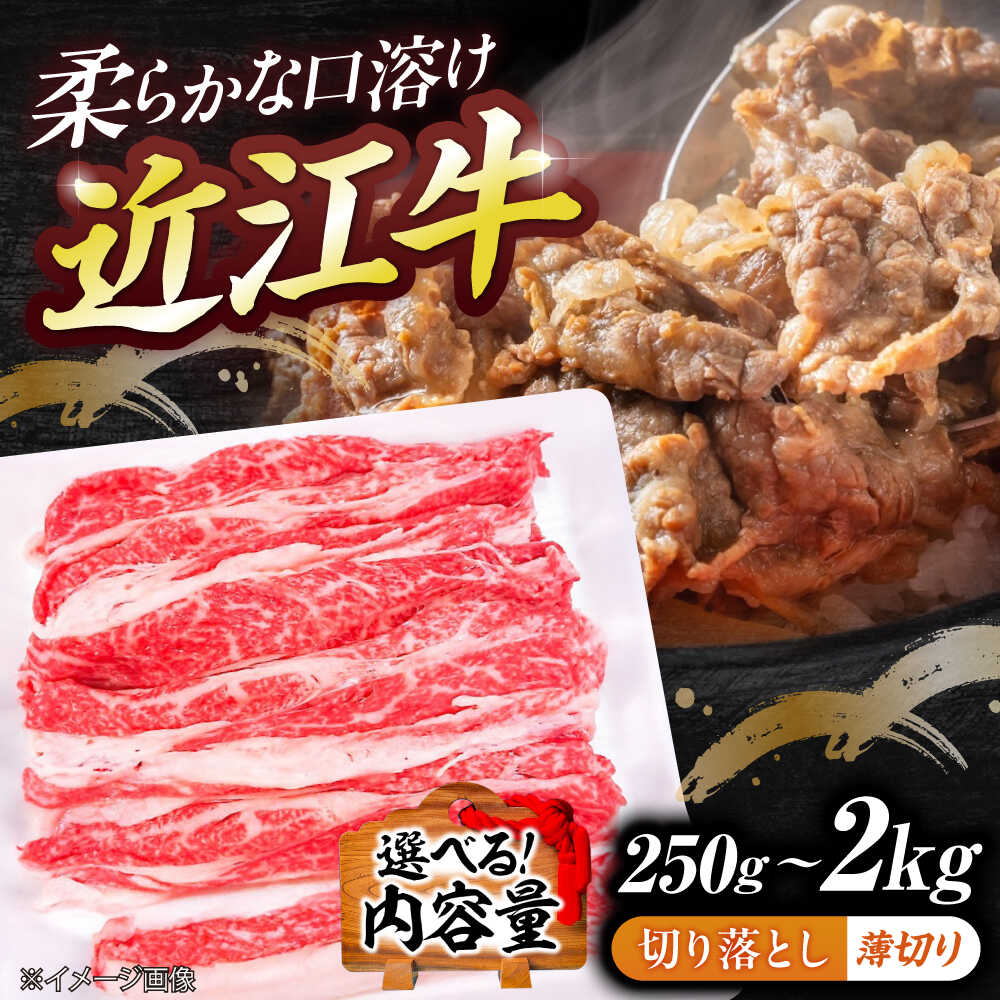 【ふるさと納税】【選べる容量】近江牛切り落とし（薄切り）250g~2kg / 牛肉 近江牛肉 肉 赤身 霜降り 鍋 ロース 黒毛和牛 和牛 牛 グルメ 国産牛 切落とし 家庭用 冷凍 便利 老舗 炒め物 小間切れ こま切れ カレー 肉じゃが 牛丼 滋賀県 / 栗東市 / 有限会社 岡山[BIBE052]