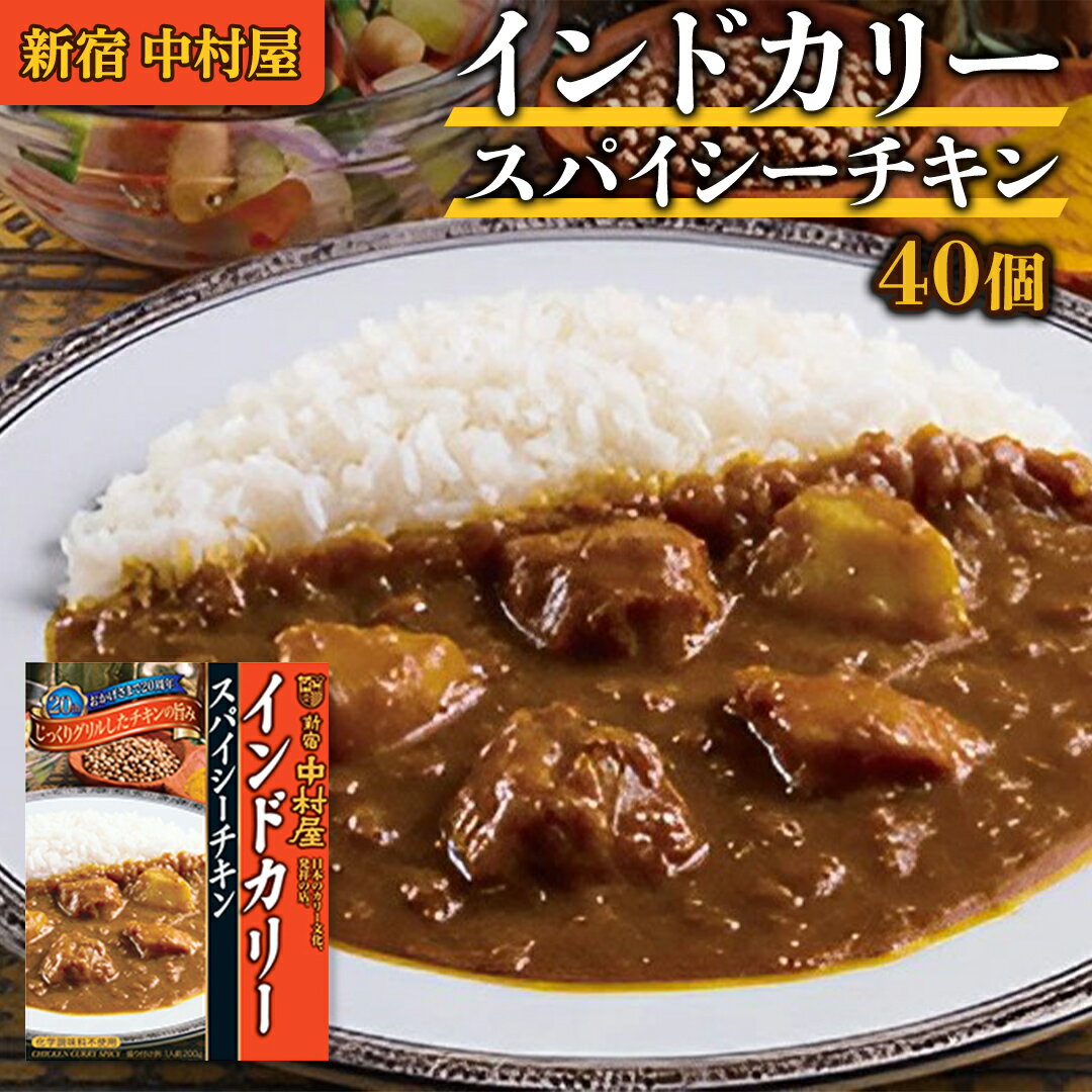 【ふるさと納税】新宿 中村屋 インドカリー スパイシーチキン 40個 人気 洋食 レトルト 時短 カレー インドカレー スパイシーカレー 長期保存 災害用 保存食