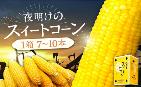 【先行予約】夜明けのスイートコーン 4kg×1箱 (7〜10本) 【2025年6月以降順次発送】《豊前市》【アグリネックス】 とうもろこし コーン スイートコーン 14000円 [VCO001]