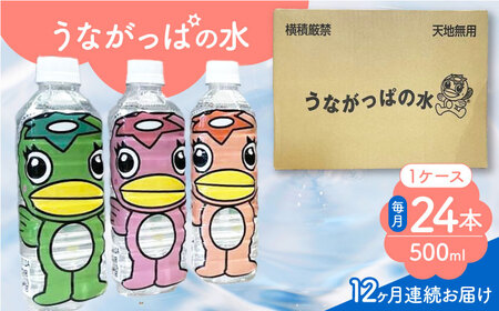 【12回定期便】 うながっぱの水 1ケース（ 500ml ペットボトル × 24本 ） 2 多治見市 /多治見市観光協会 ミネラルウォーター 備蓄[TAQ018]