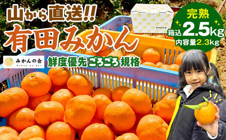 訳あり みかん 約 2.3kg 有田みかん 和歌山県産