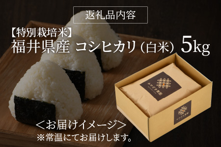 【令和5年産】【特別栽培米】福井県産 コシヒカリ 5kg ～化学肥料にたよらない 有機肥料100%～ ネオニコフリー（白米）[A-13403_01]