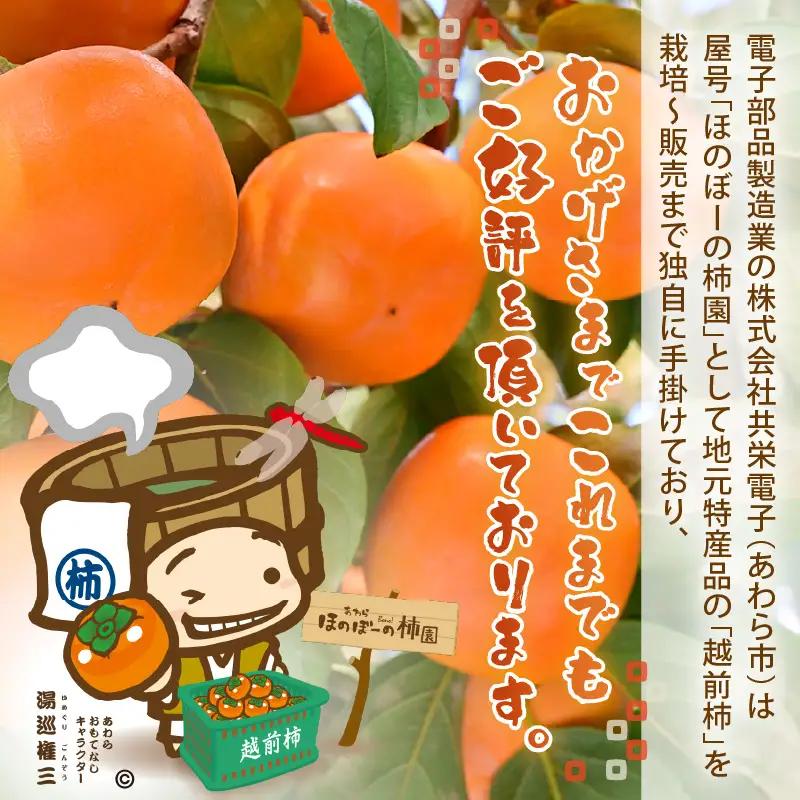 【先行予約】【2026年10月下旬～11月中旬に発送予定】秋の味覚を贈り物に！厳選「越前柿」大玉 9個（ご贈答用）／ 果物 フルーツ 産地直送 期間限定 ※2026年10月下旬～11月中旬に発送予定 