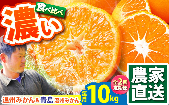【2026年10月下旬～発送】【2回定期便】温州 みかん 食べ比べ 10kg×2回 / 甘い フルーツ 果物 / 南島原市 / 蜜柑屋まつお [SCQ004]