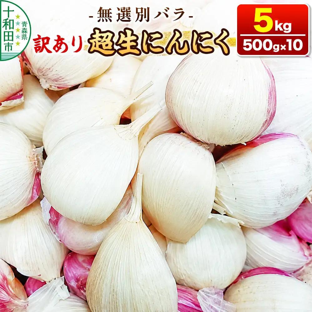 訳あり 超生にんにく 無選別バラ5kg（500g×10） 青森県産