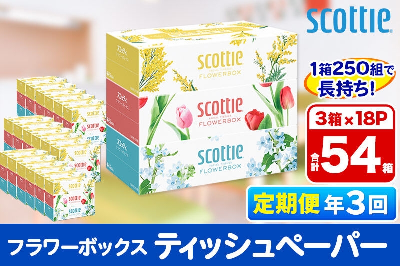
                  《4ヶ月ごとに3回お届け》定期便 ティッシュペーパー スコッティ フラワーボックス250組 54箱(3箱×18パック)  [ティッシュ ボックスティッシュ 定期便]
                