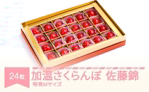 先行予約 加温 さくらんぼ 佐藤錦 特秀Mサイズ プレゼント ギフト チョコ箱入 24粒 2026年産 令和8年産 山形県産 ns-sntmc24