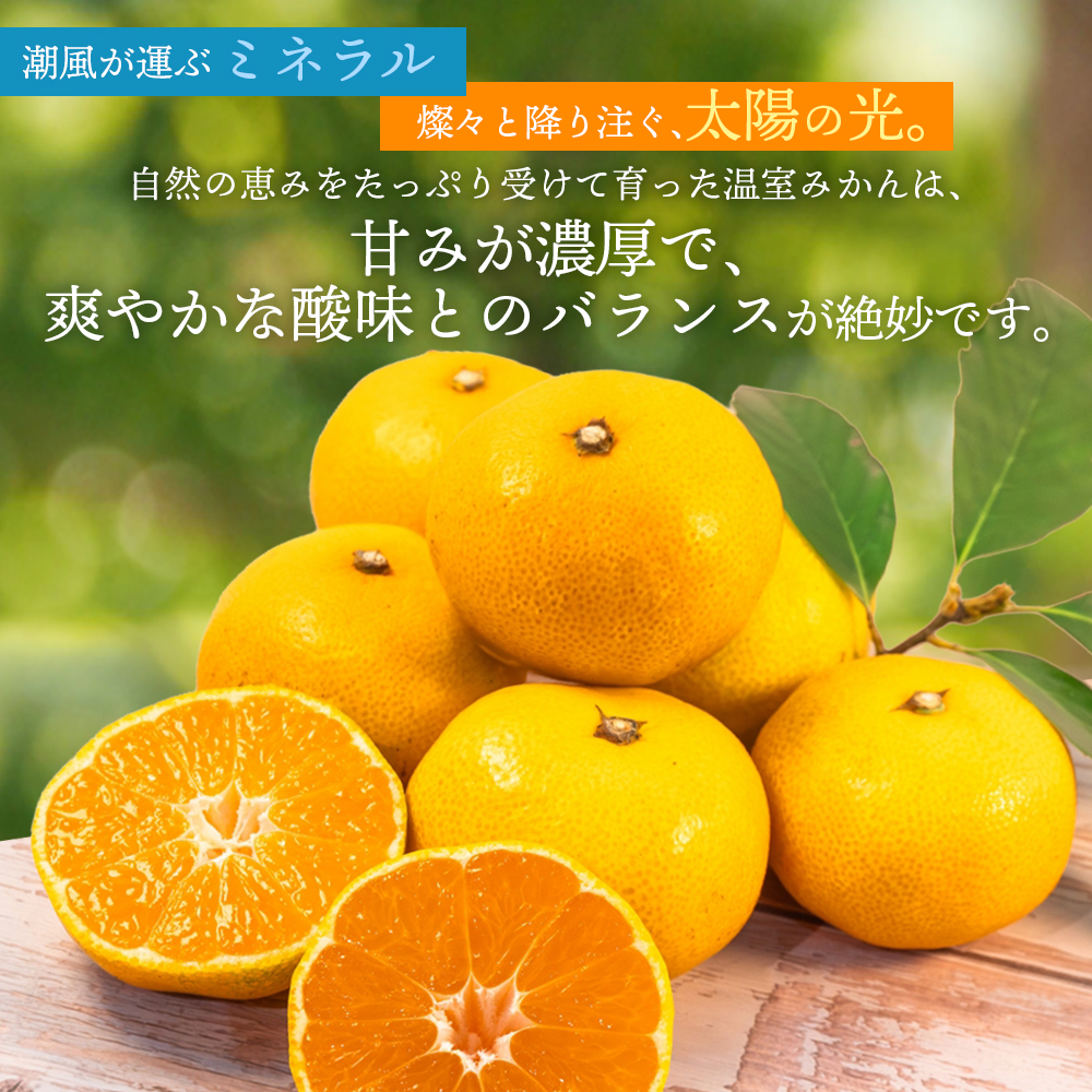 【数量限定】仲森農園の温室みかん 2.5kg 【2026年7月より順次発送予定（お届け日指定不可）】 みかん ミカン 蜜柑 温州みかん 温州ミカン 柑橘 フルーツ 果物 くだもの 産地直送 三重県 熊