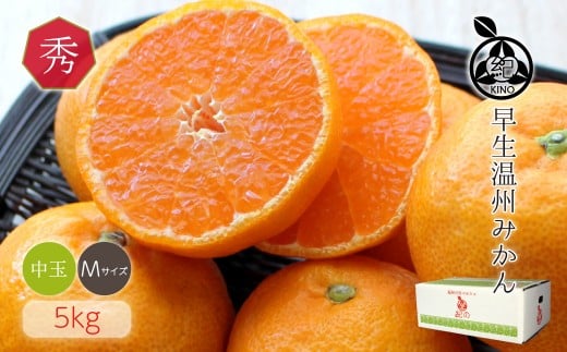和歌山県産 早生温州みかん 秀品 Mサイズ 5kg [Sn5]