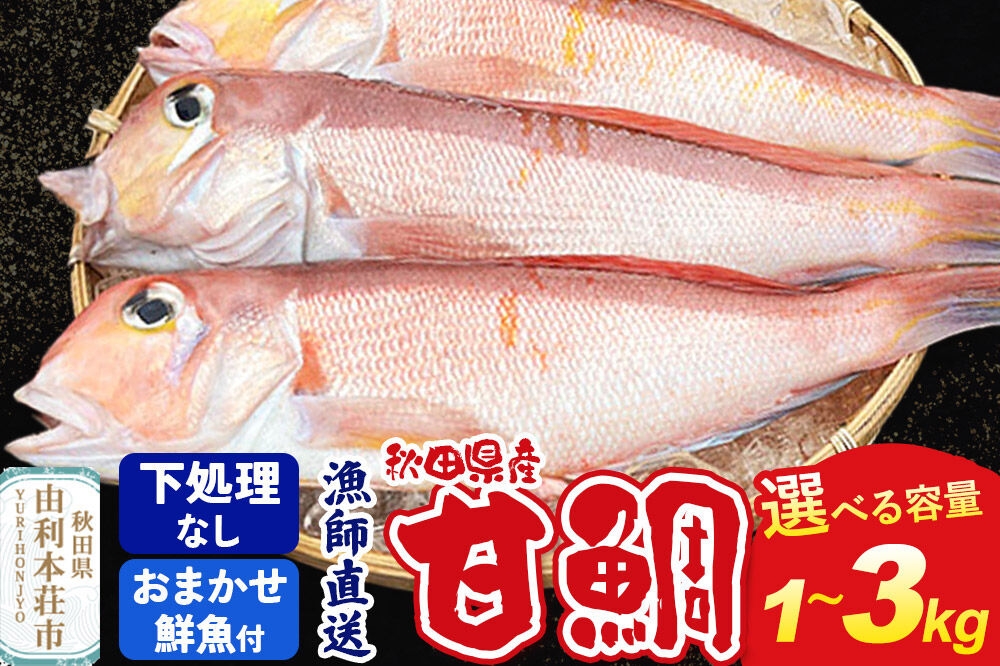 
                  漁師直送 甘鯛（あまだい）【選べる容量：1kg／2kg／3kg＋おまかせ鮮魚】 秋田県産【下処理なし】 [天然 高級魚 白身 アマダイ たい 鮮魚 共同漁業 BLUE RISE 秋田県 由利本荘市]
                