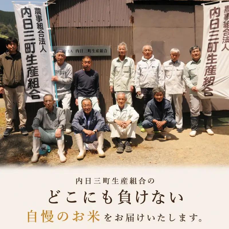 【先行予約】 コシヒカリ 10kg (5kg×2箱) 無洗米 令和8年産 【10月以降順次発送】 山口県産 特別栽培エコ50 (化学農薬・肥料50％以上削減/精米まで一貫加工)  《内日三町：DZ》