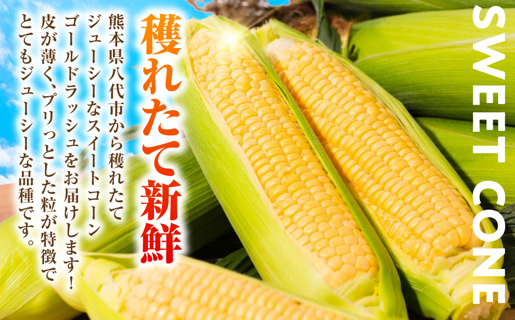 【先行予約】プリッとジューシー！ 熊本県 八代市産 スイートコーン ゴールドラッシュ 約4.5kg (13～16本) とうもろこし トウモロコシ コーン 甘い 朝採り 高糖度 BBQ  熊本県 八代市 【2026年6月上旬より順次発送】
