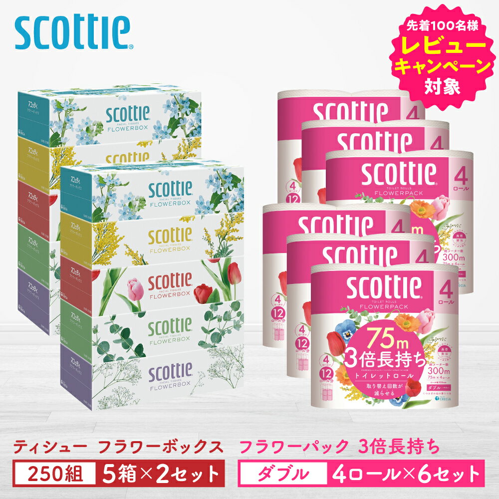 【ふるさと納税】＼レビューキャンペーン開催中／【スコッティ】ティシュー フラワーボックス 250組（5箱パック×2セット）＋フラワーパック 3倍長持ち（4ロール(ダブル)パック×6セット）ティッシュ トイレットペーパー 日用品 送料無料