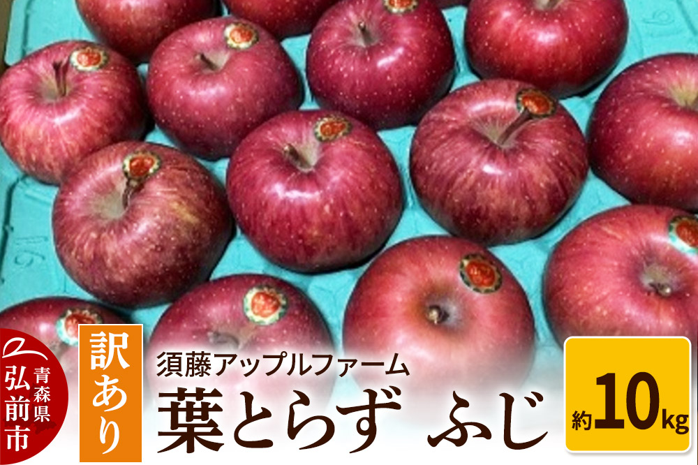 りんご【訳あり】家庭用 葉とらず ふじ 約10kg