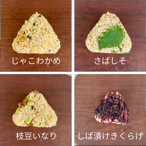 定期便 玄米おむすび 10種セット 10個×3回 国産 冷凍 おにぎり おにぎり おにぎり おにぎり おにぎり