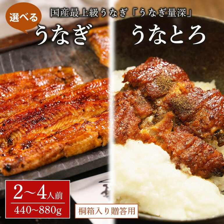 【ふるさと納税】【TVで紹介されました】 うなぎの量深 うなぎ 桐箱入り 贈答用 鰻 選べる 2〜4人前 440g〜880g 2〜4尾 土用の丑の日 ウナギ うなとろ おすすめ 蒲焼き 蒲焼 国産 解凍 冷凍 土用 丑の日 お歳暮 お中元 笠間市 茨城県 とろろ 老舗 贈答 贈り物 真空パック