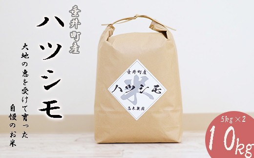 
                  ≪令和6年産≫ 岐阜県産ハツシモ10kg（5kg×2）
                