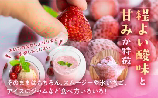 【愛知県・田原産】先行予約 フローズンいちご 約1kg×2袋 ／ 冷凍いちご 苺 イチゴ 紅ほっぺ フルーツ 果物 冷凍 アイス スムージー 愛知県 産地直送 田原市