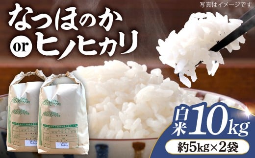 米 【令和7年産 新米】 白米 （ なつほのか or ヒノヒカリ ） 計10kg （5kg×2袋）  ＜夢農園 モリピー＞  [CEJ002] 白米 米 ひのひかり なつほのか  こめ ごはん ご飯 西海 長崎 新米 10kg
