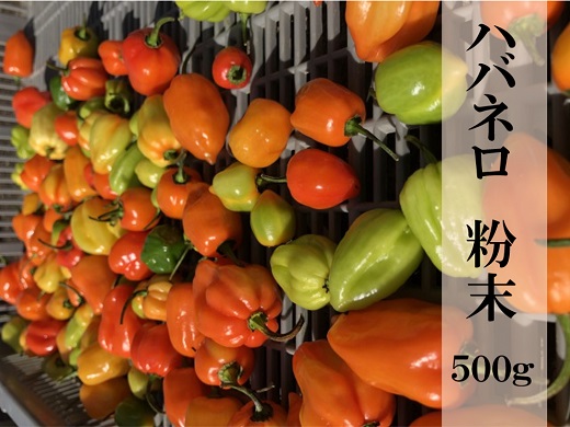 【熊野唐辛子】ハバネロ 粉末 500g