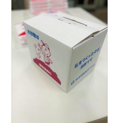 ふるさと納税 伊達市 北海道てん菜(ビート)を100%使用した上白糖　5kg(1kg/袋×5袋) |  | 03
