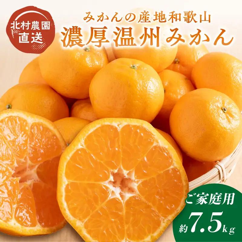 【1169-2】和歌山の農園直送北村農園の天田みかん7.5kg（家庭用）