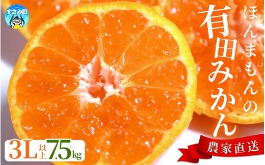 【農家直送】有田みかん  大玉3L以上 約7.5kg 有機質肥料100% ※2025年12月初旬～1月中旬に順次発送(お届け日指定不可) / みかん ミカン 温州みかん 柑橘 有田 和歌山 産地直送 【nuk158C】