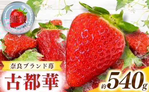 甘くて高級 奈良県産ブランド「 古都華 （ ことか ）」 2パック （約 540g ）| フルーツ くだもの 果物 いちご イチゴ ことか コトカ 古都華 高糖度 旬 2月 3月 4月 5月 順次発送 LIP～幸せいちご園～ 産地直送 農家直送 お取り寄せ 送料無料 グルメ フレッシュ 果実 新鮮 ブランド苺 ストロベリー 冷蔵 糖度 減農薬栽培 濃厚 贅沢 奈良県 五條市