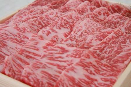 奥出雲和牛赤身焼肉用600g 【しまね和牛 肉質日本一 贈答用 冷蔵 チルド 日時指定Ｂ-11】