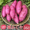 【ふるさと納税】【先行予約】【数量限定】山崎観光農園の栗かぐや　約6kg(AU016)