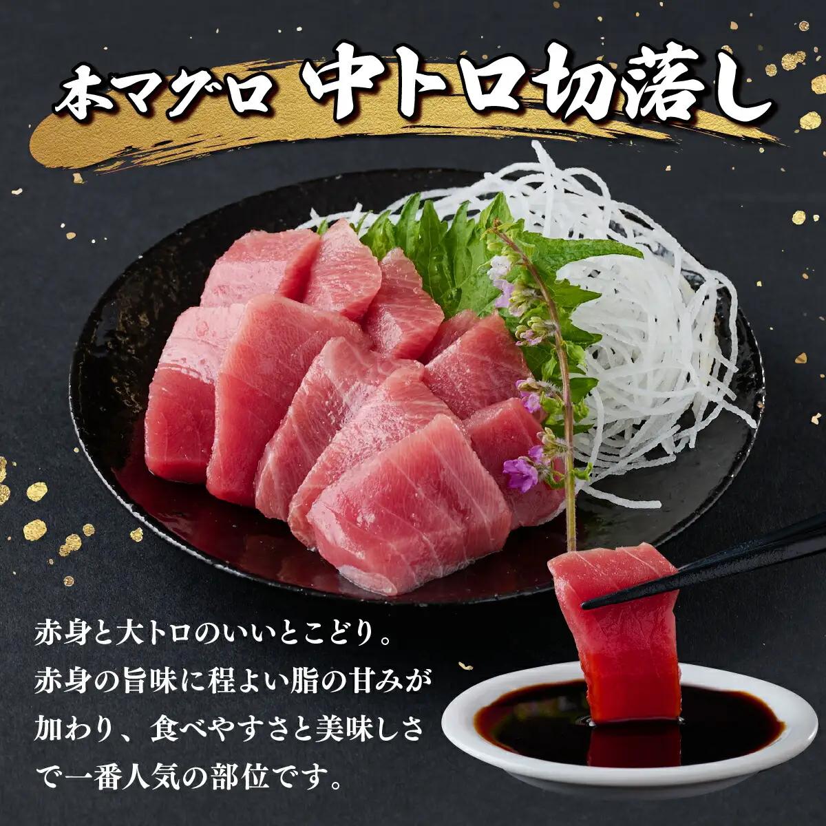 天然 本マグロ 中トロ 刺身 と 天然マグロ ネギトロ セット まぐろ 刺身 海鮮 冷凍 魚 海産物 魚介類 父の日 高知県 まぐろたたき 鮪